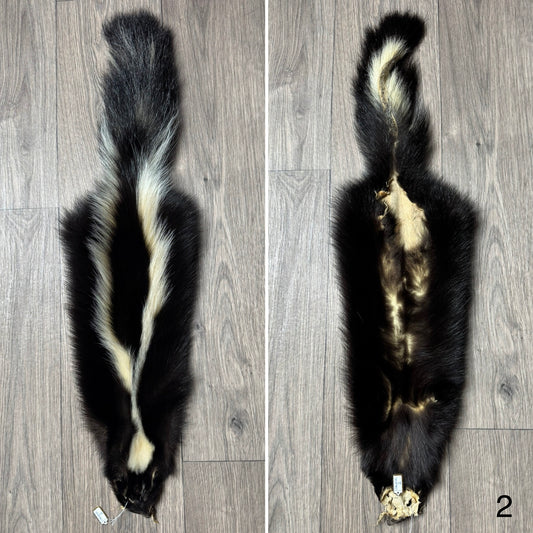 Skunk pelt (2)
