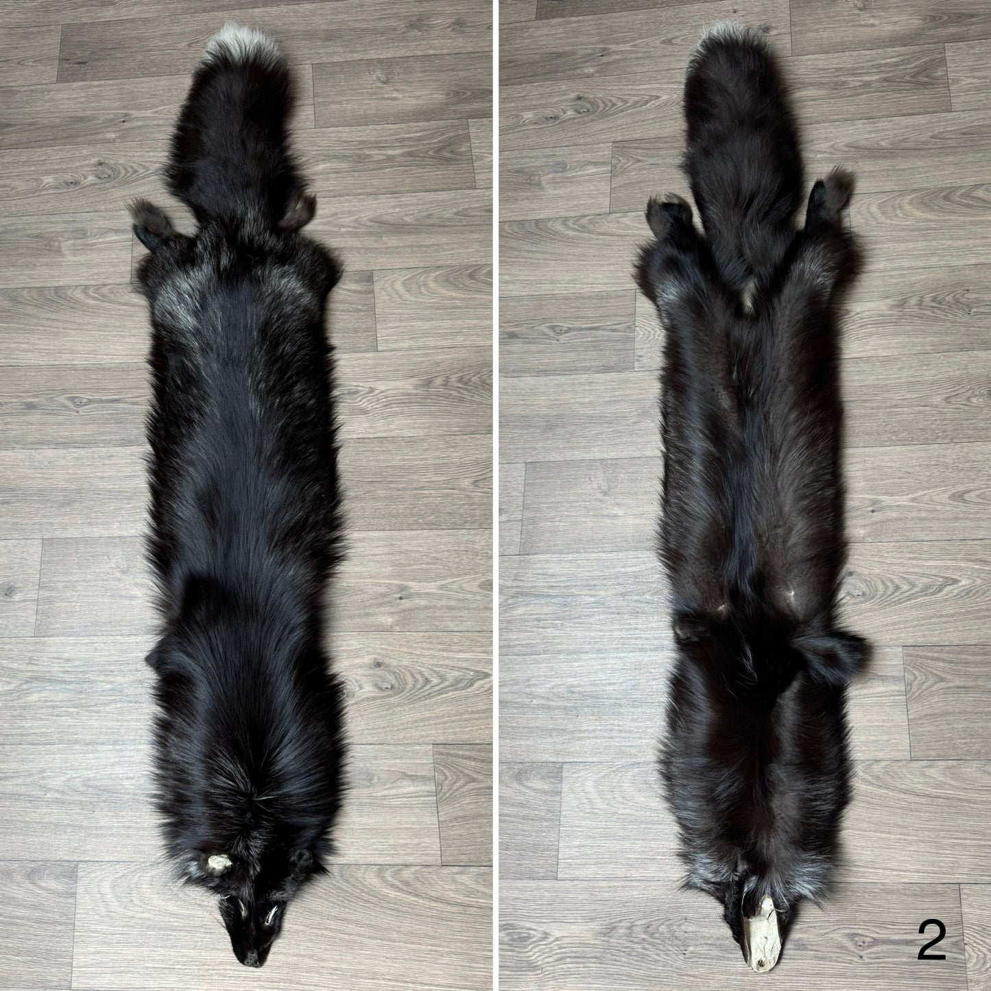 Silver fox pelt (2)