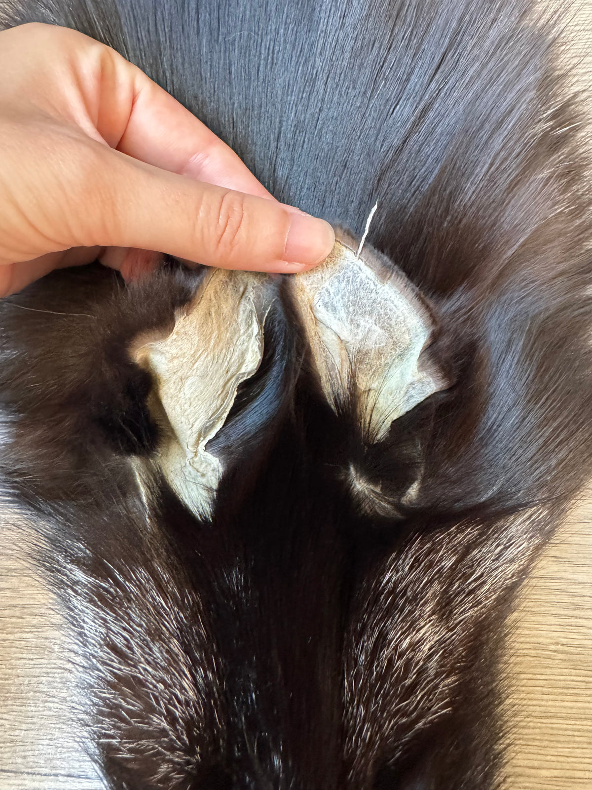 Silver fox pelt (16)