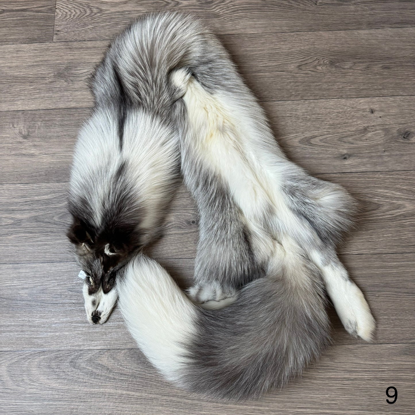 Platinum fox pelt (9)