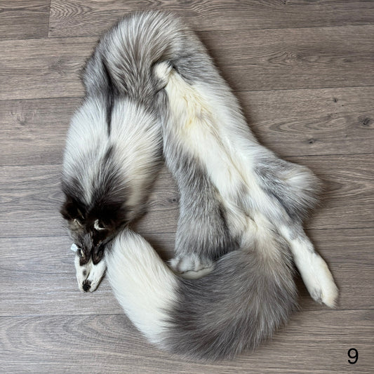 Platinum fox pelt (9)