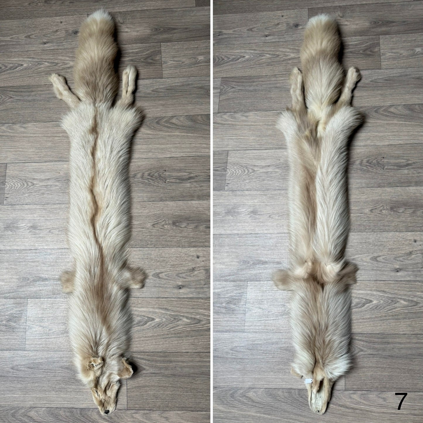 Amber fox pelt (7)