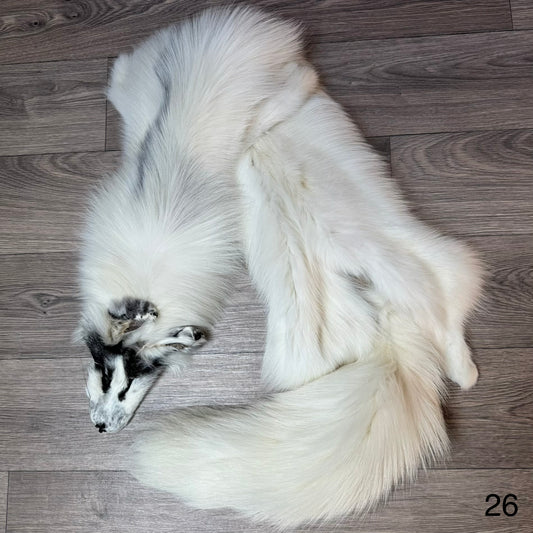 Arctic Marble fox pelt (26)