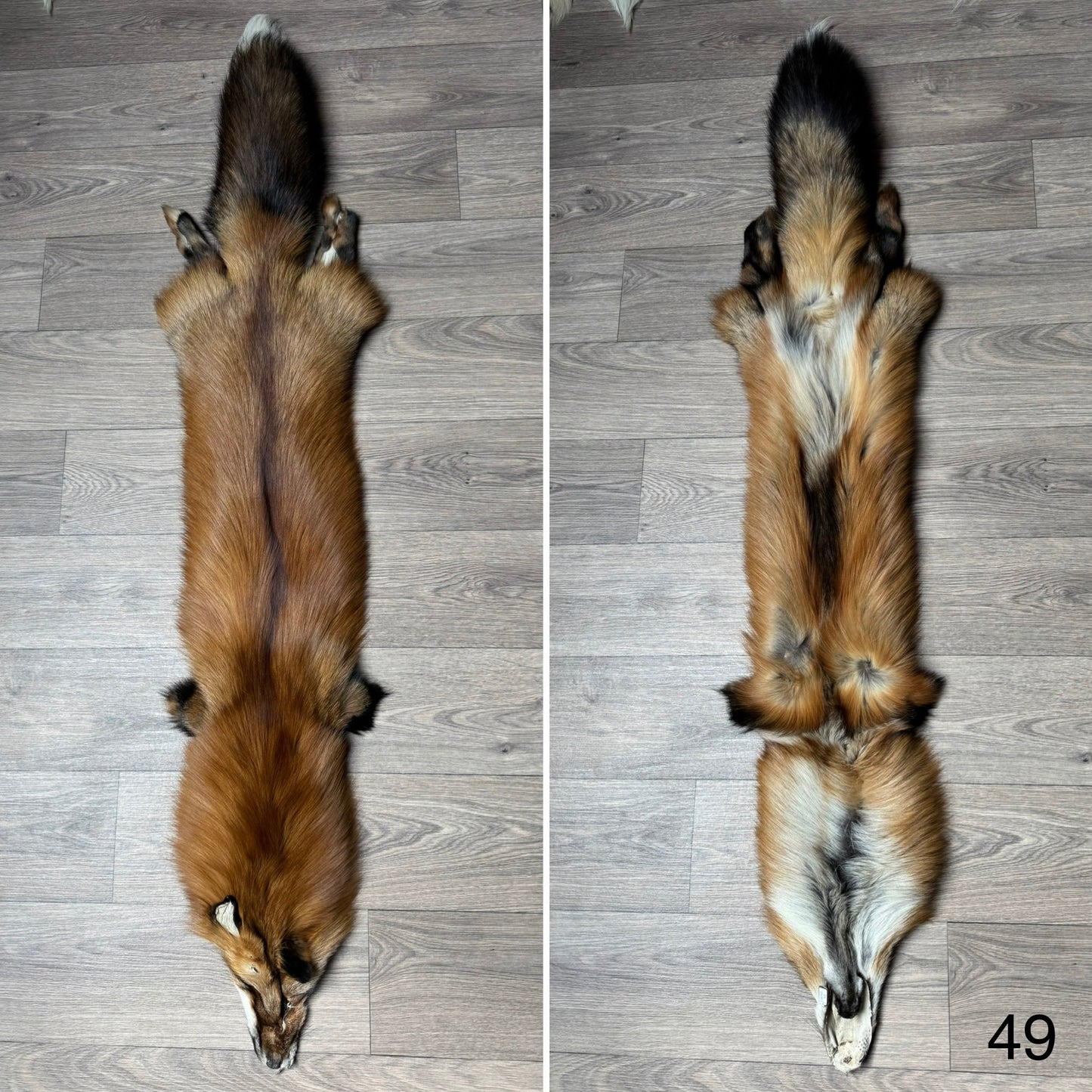 Gold fox pelt (49)