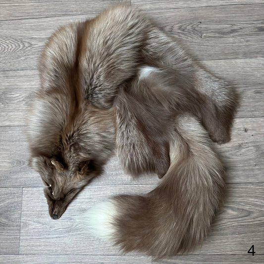 Polish Pastel fox pelt (4)