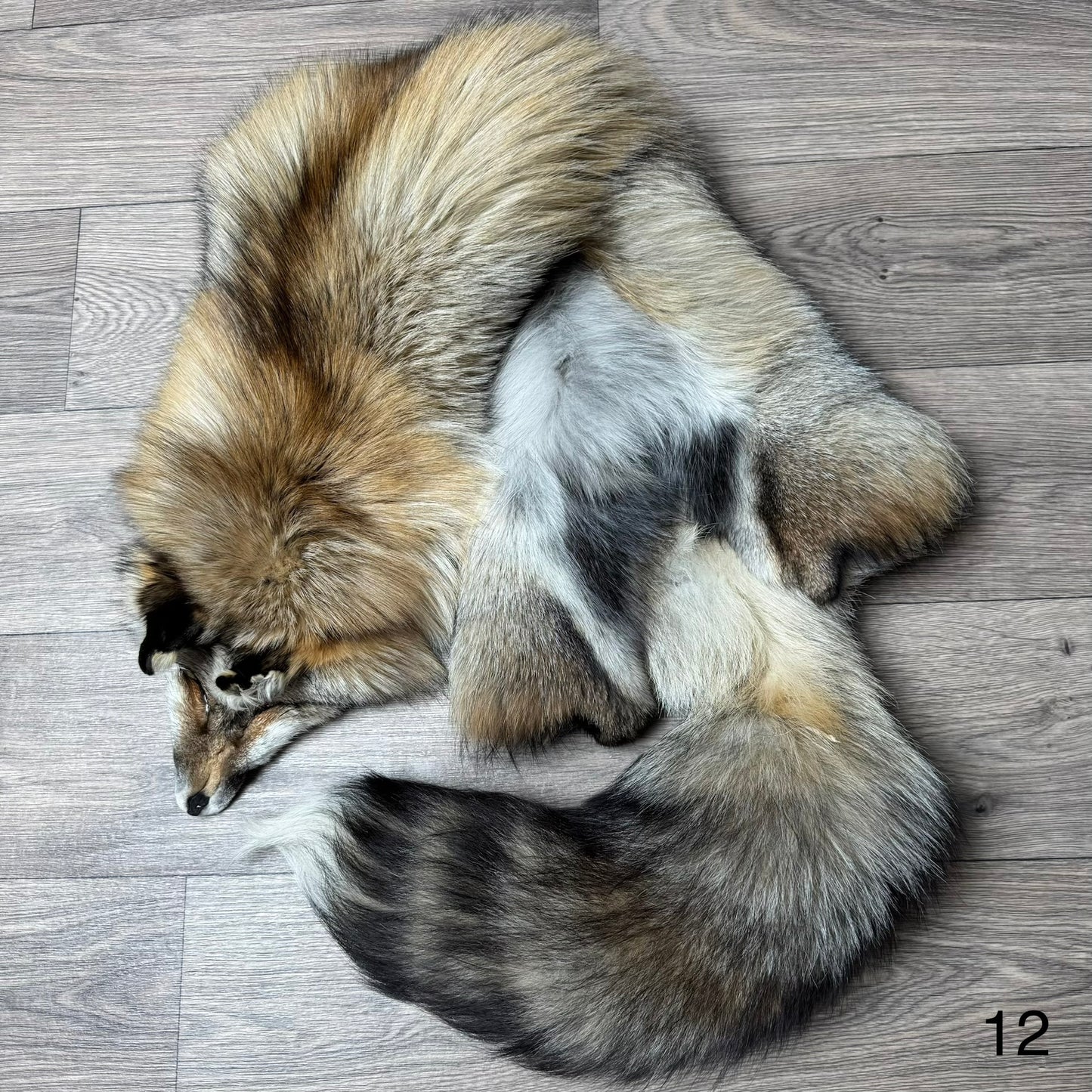 Smokey fox pelt (12)