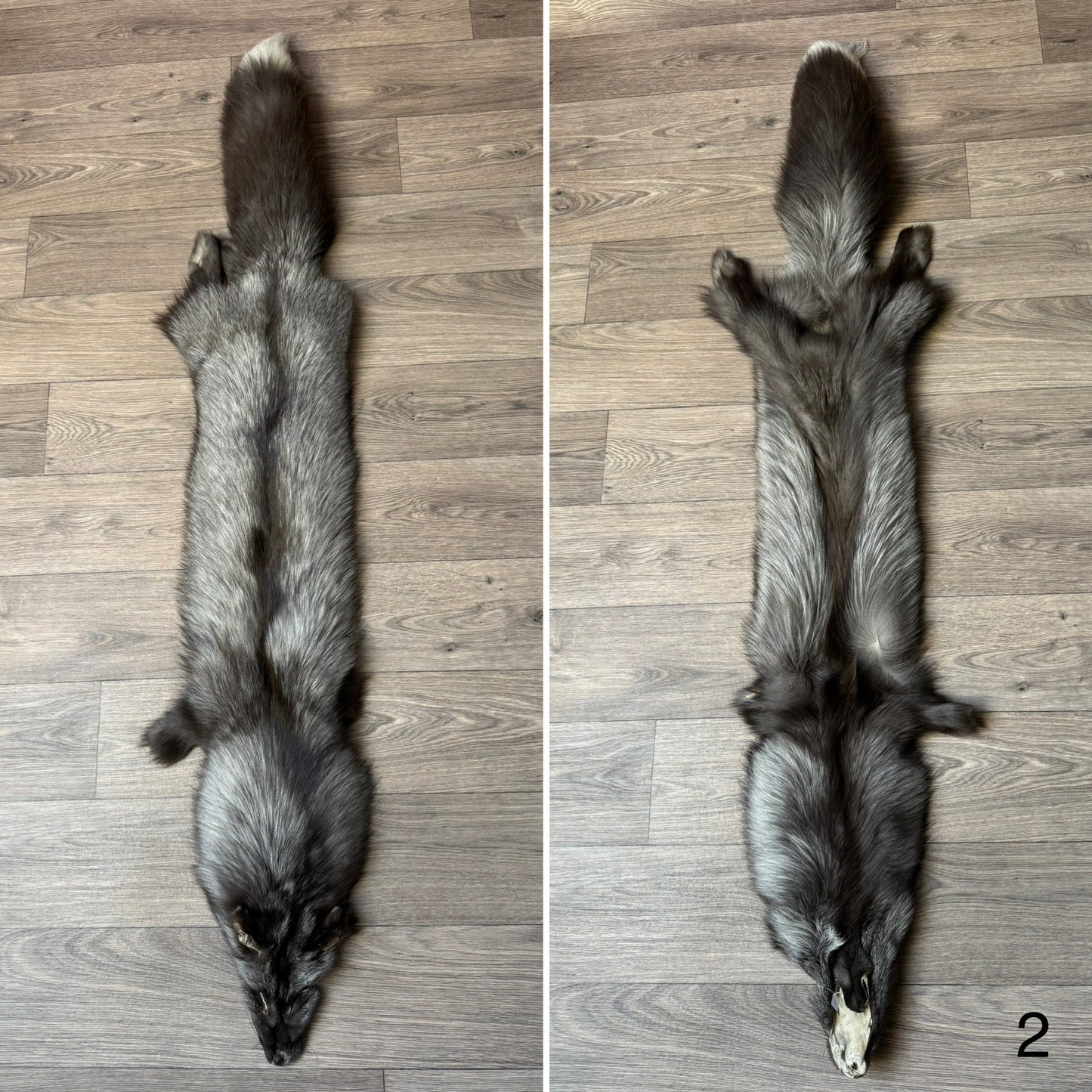 Pearl fox pelt (2)