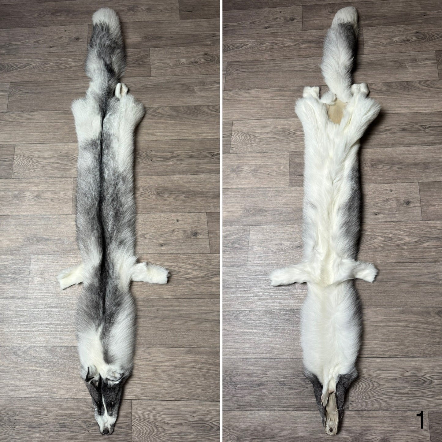 Marble Frost fox pelt (1) (extremely large pelt)