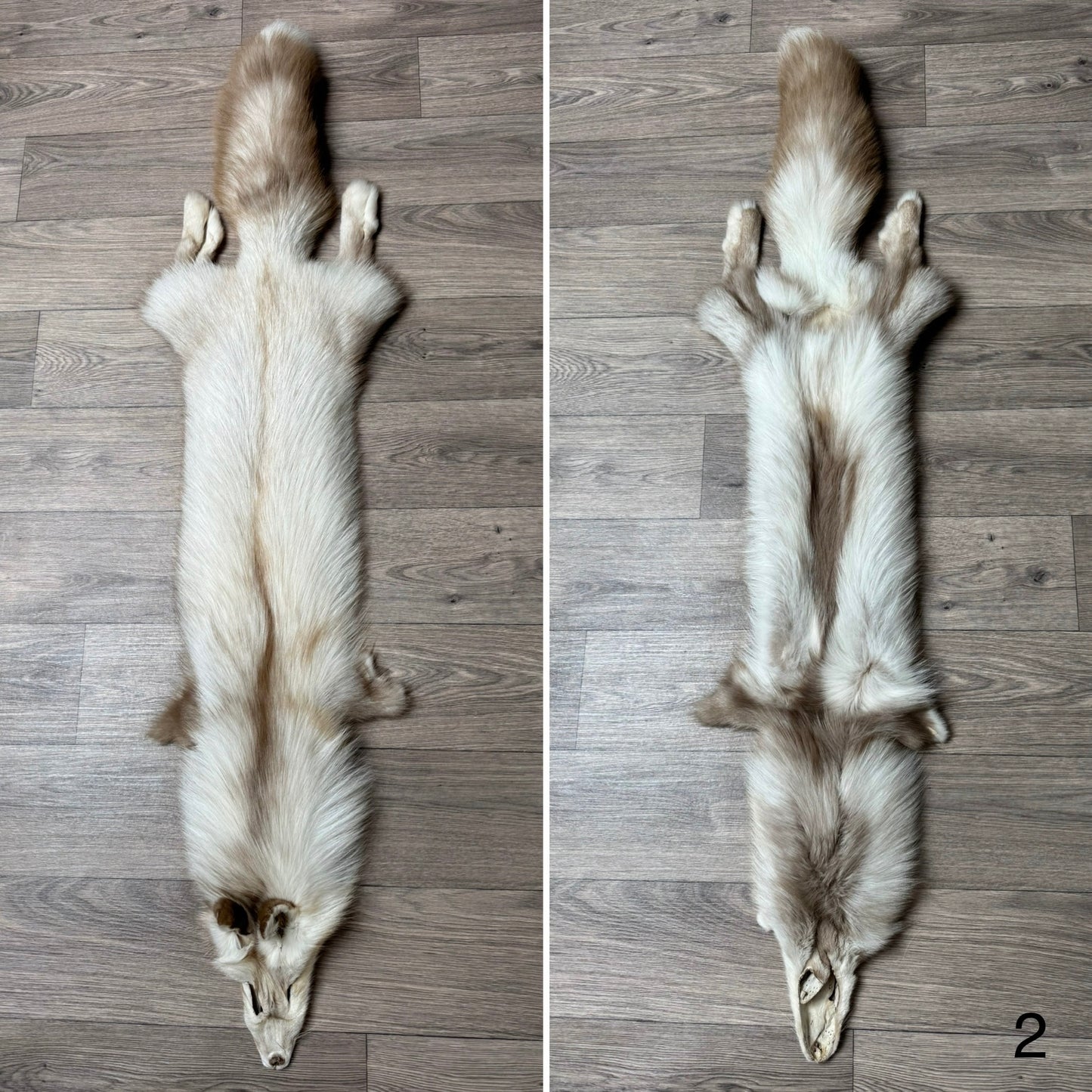 Smokey Snow Glow fox pelt (2)