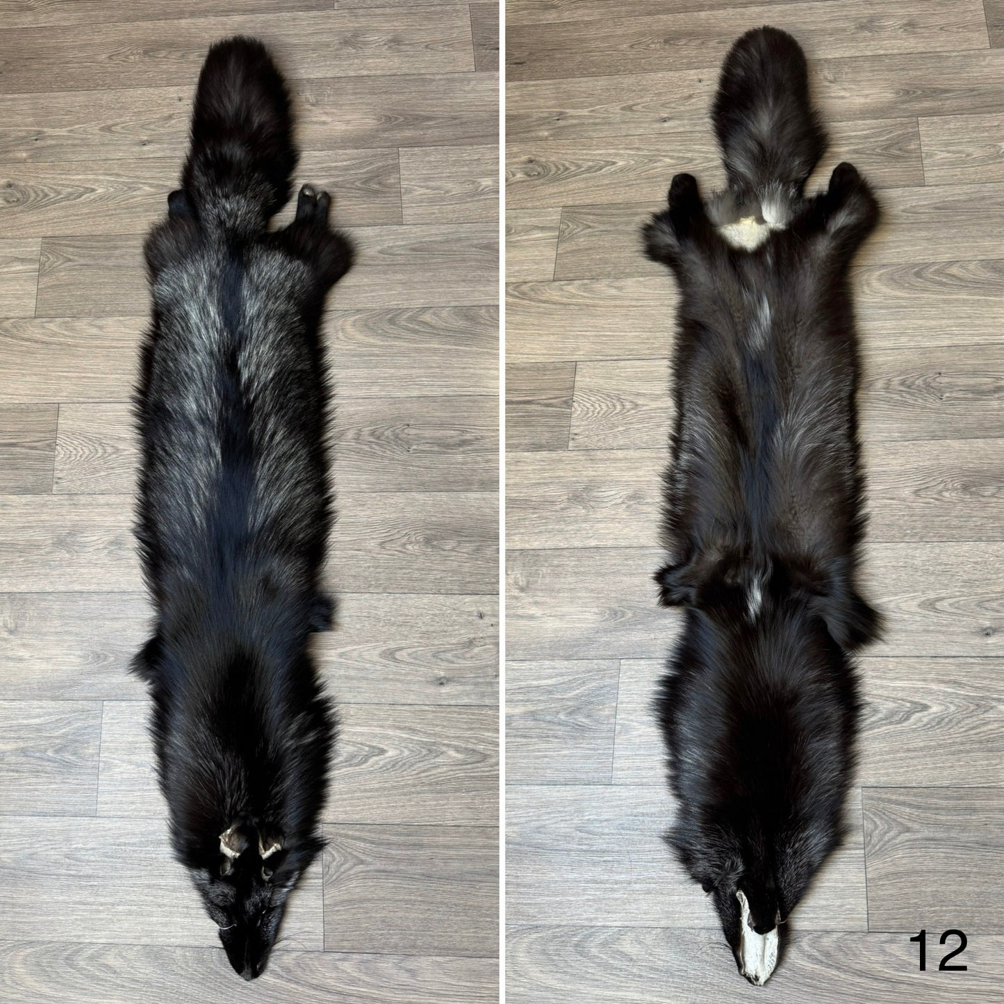 Silver fox pelt (12)