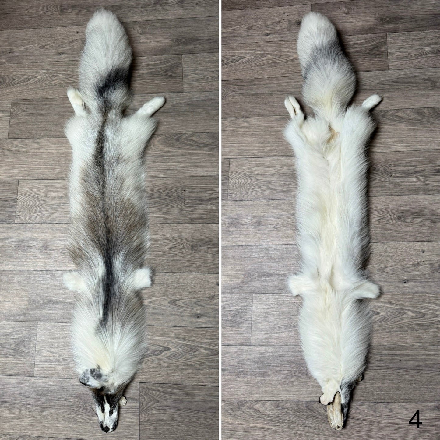Cross Marble fox pelt (4)
