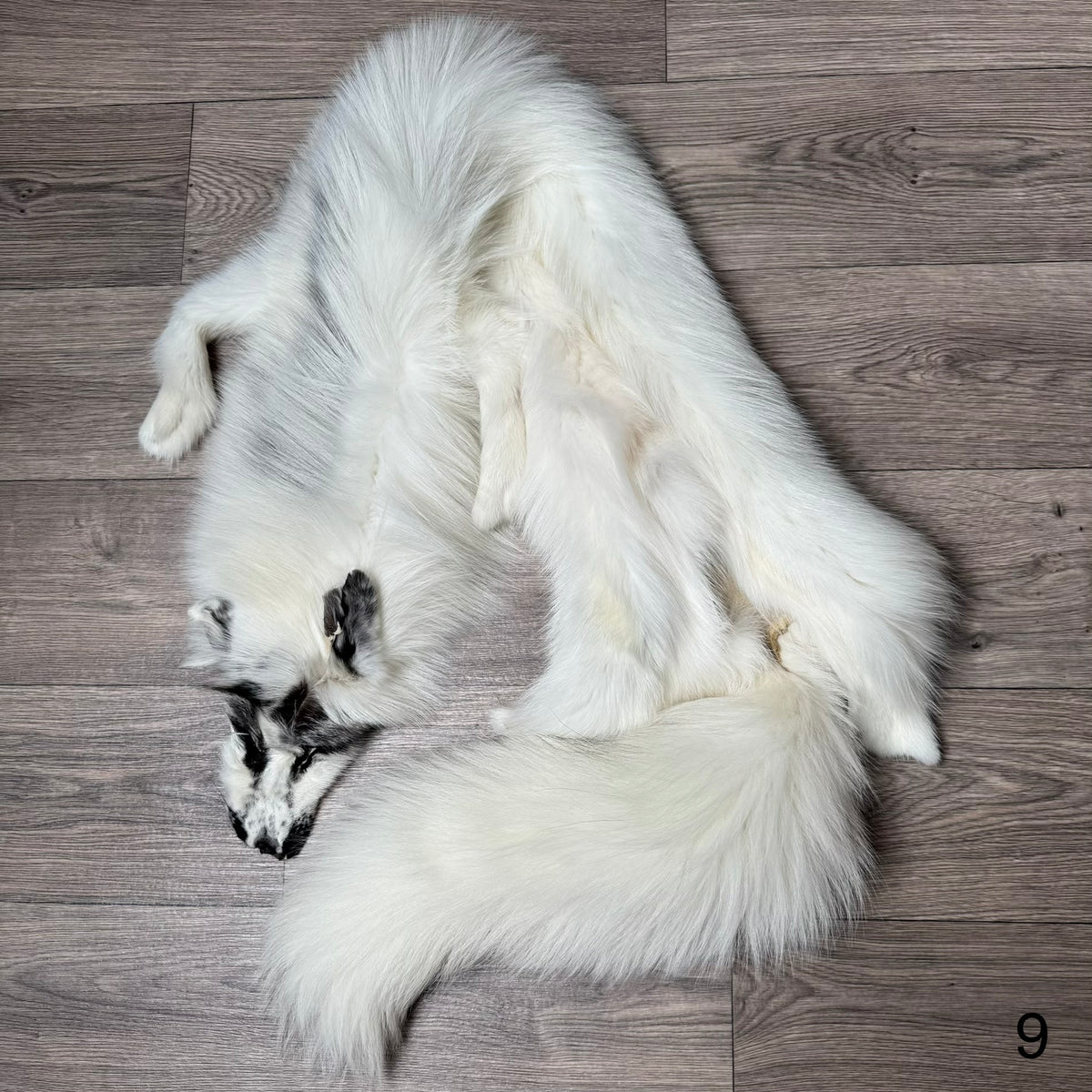 Arctic Marble fox pelt (9)
