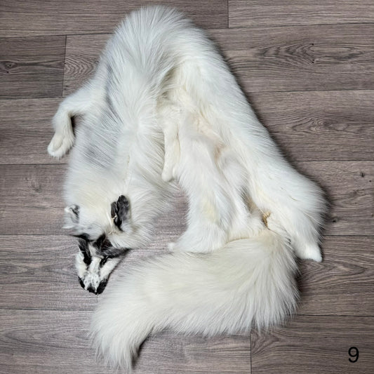 Arctic Marble fox pelt (9)