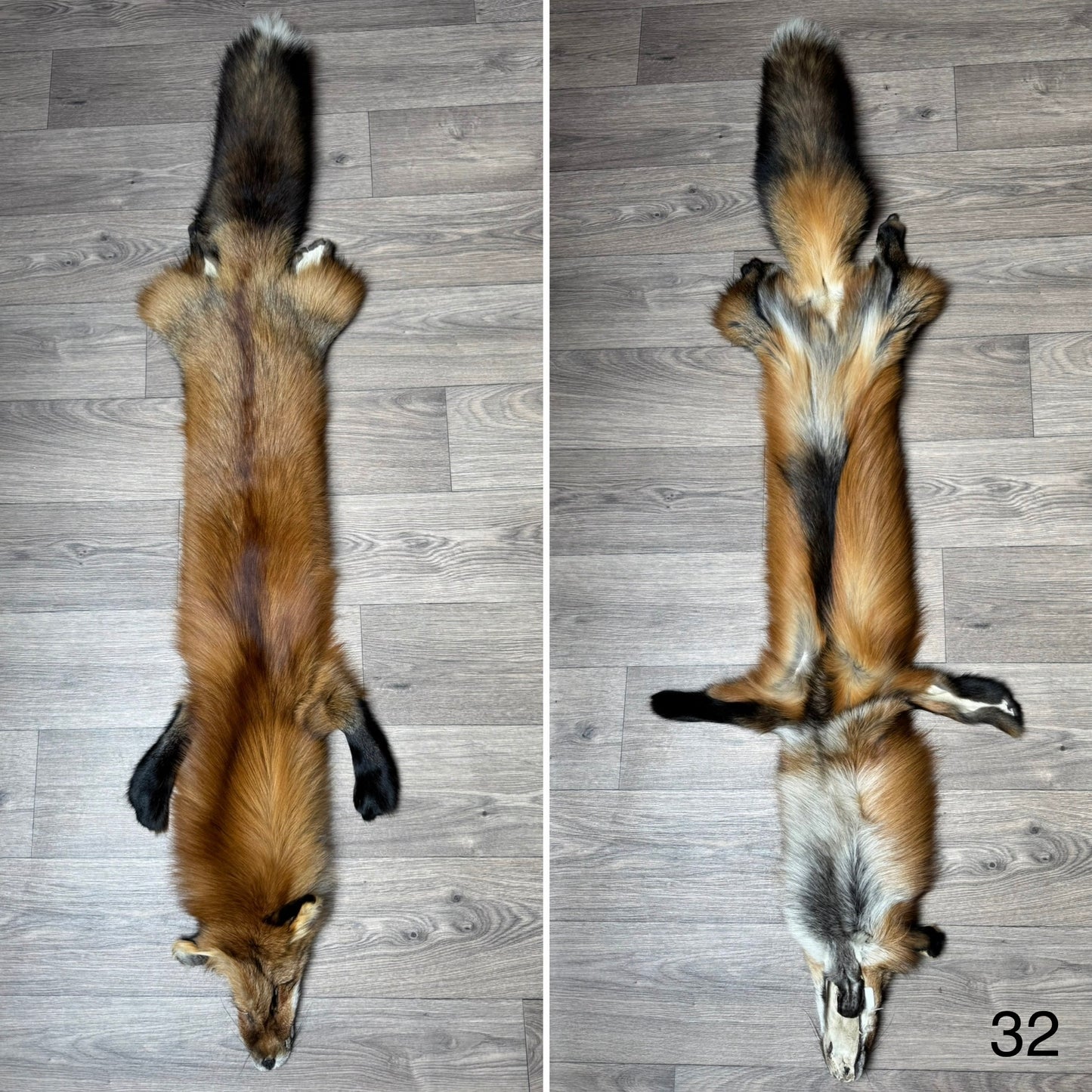 Gold fox pelt (32)