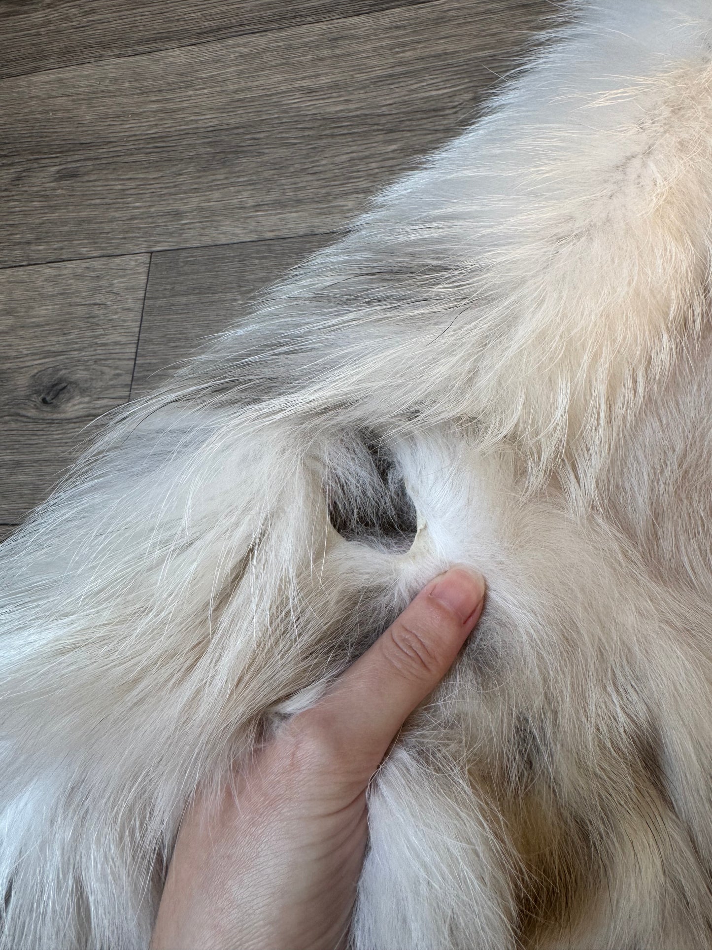 Marble tanuki pelt (17)