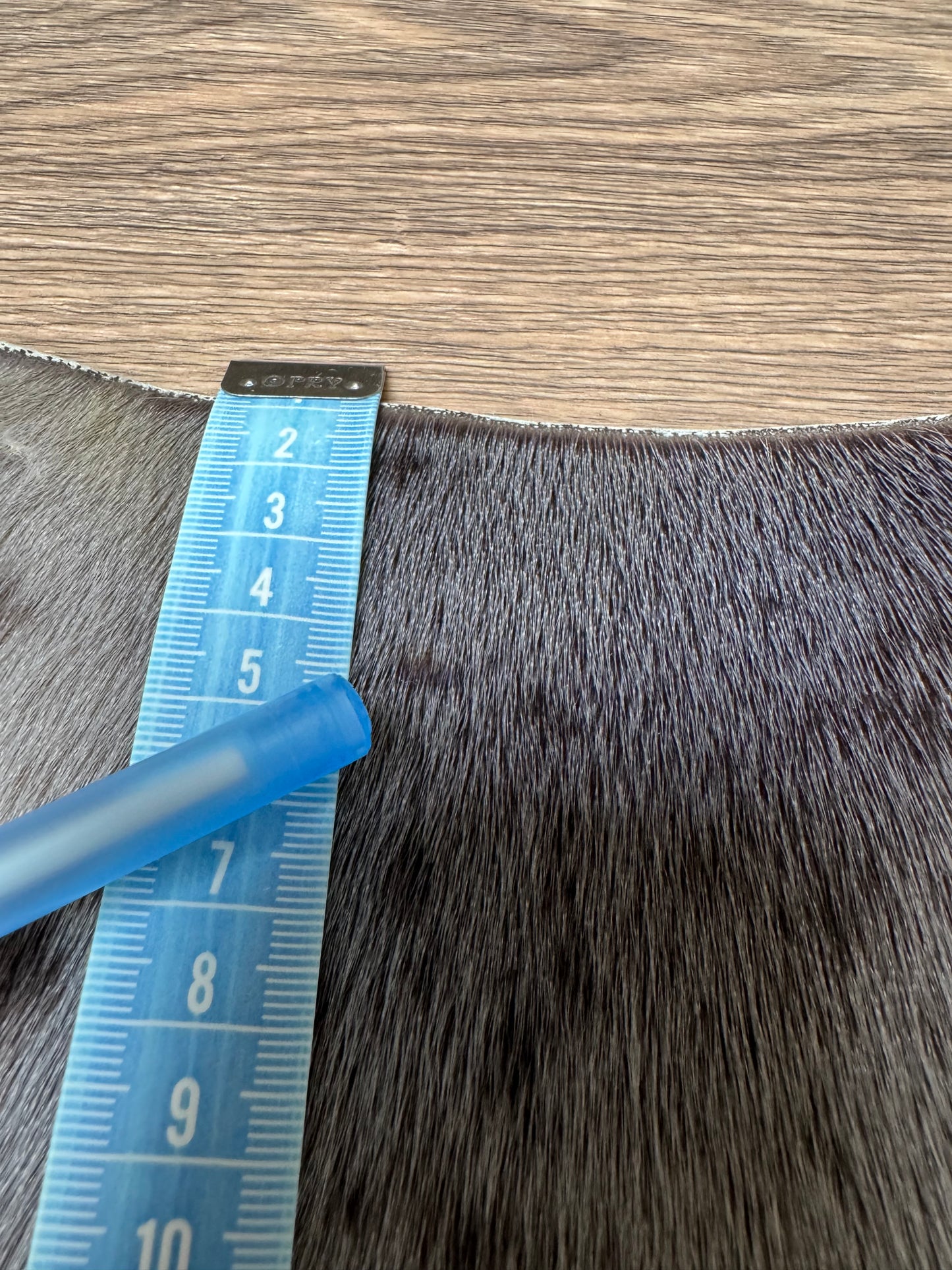 Harp seal skin (3)