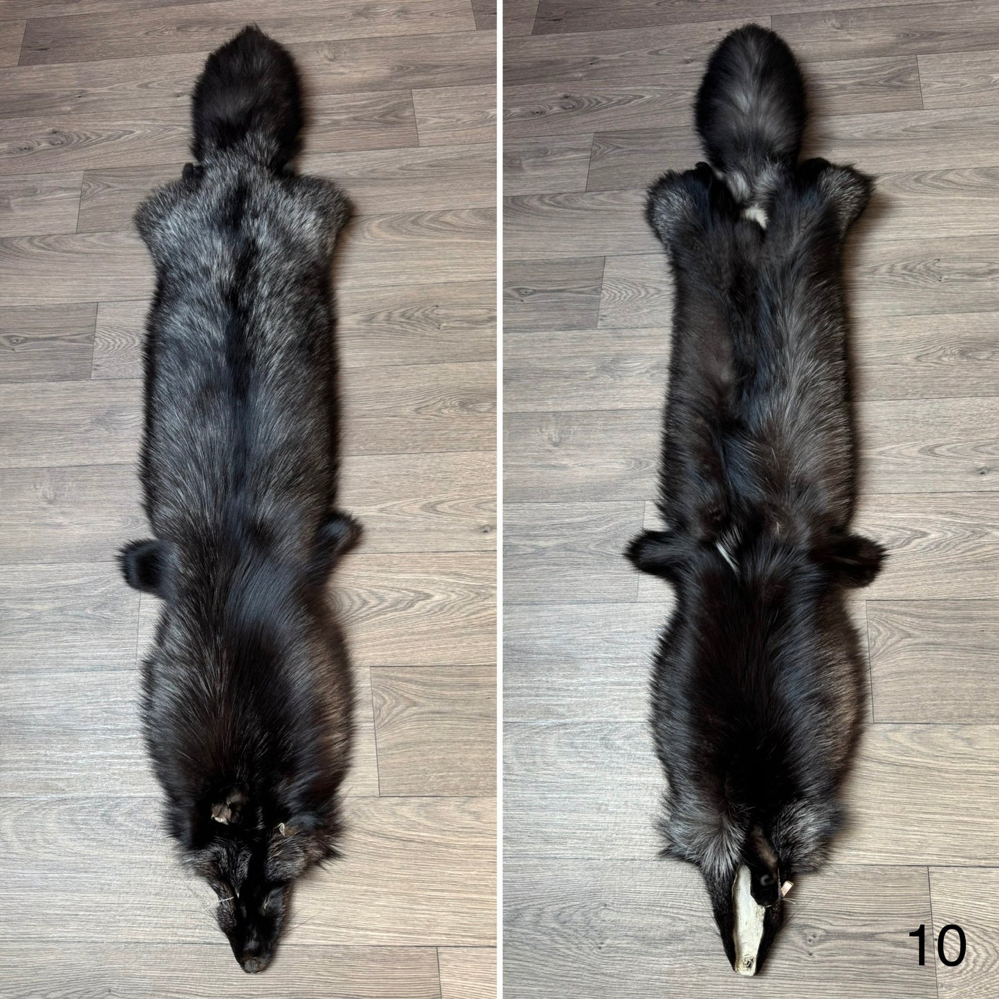 Silver fox pelt (10)