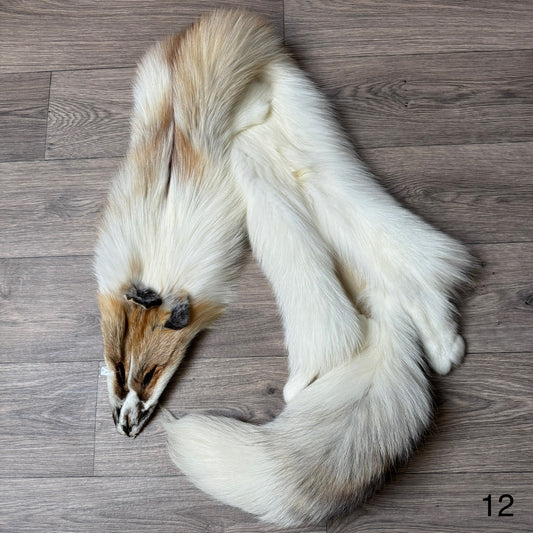 Sun Glow fox pelt (12)
