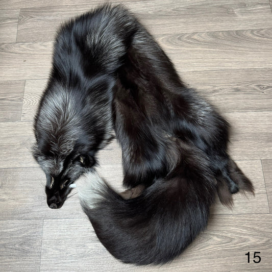 Silver fox pelt (15)