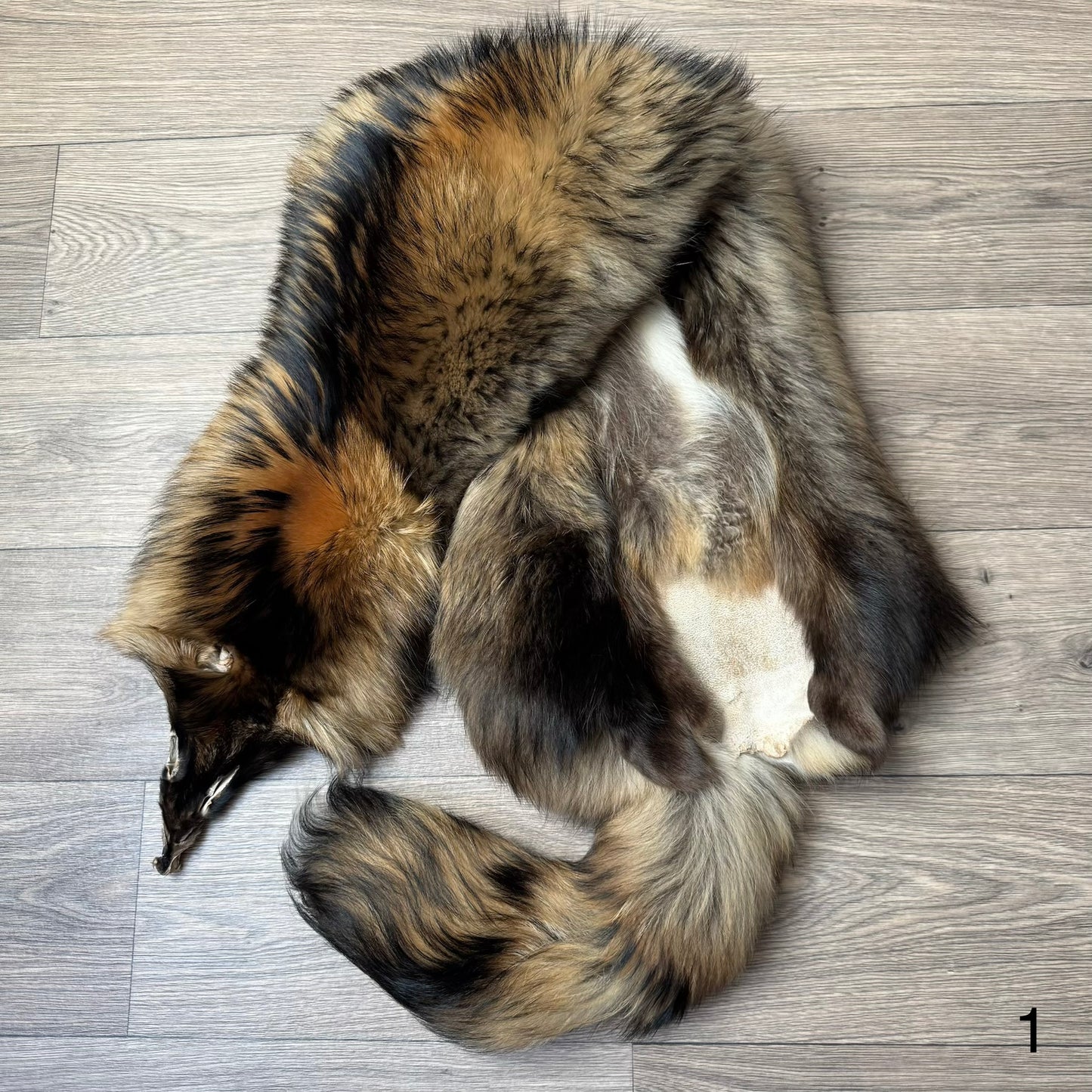 Tanuki pelt (1)