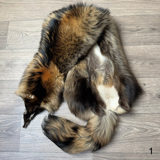 Tanuki pelt (1)