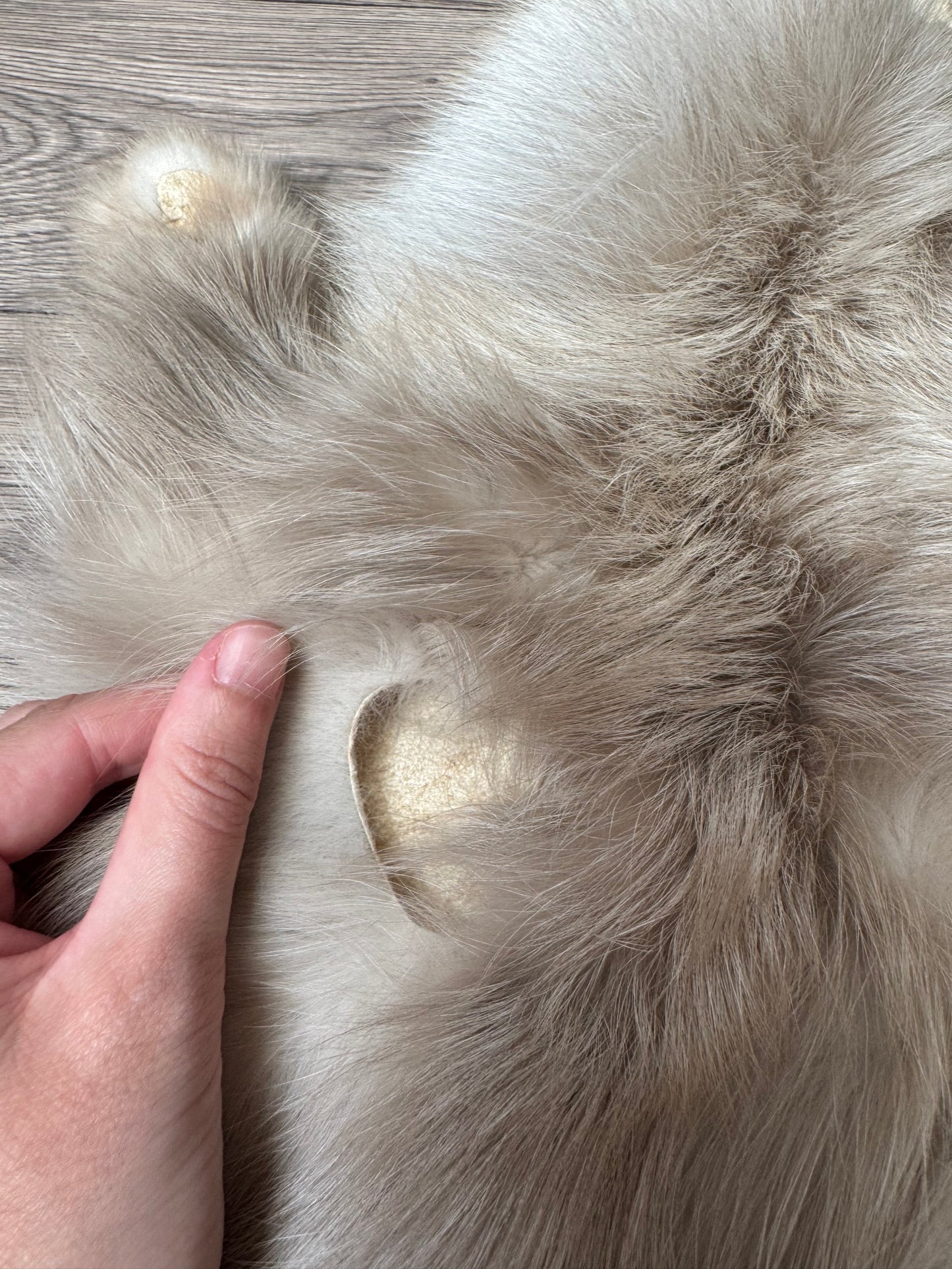 Pastel Palomino fox pelt (1)