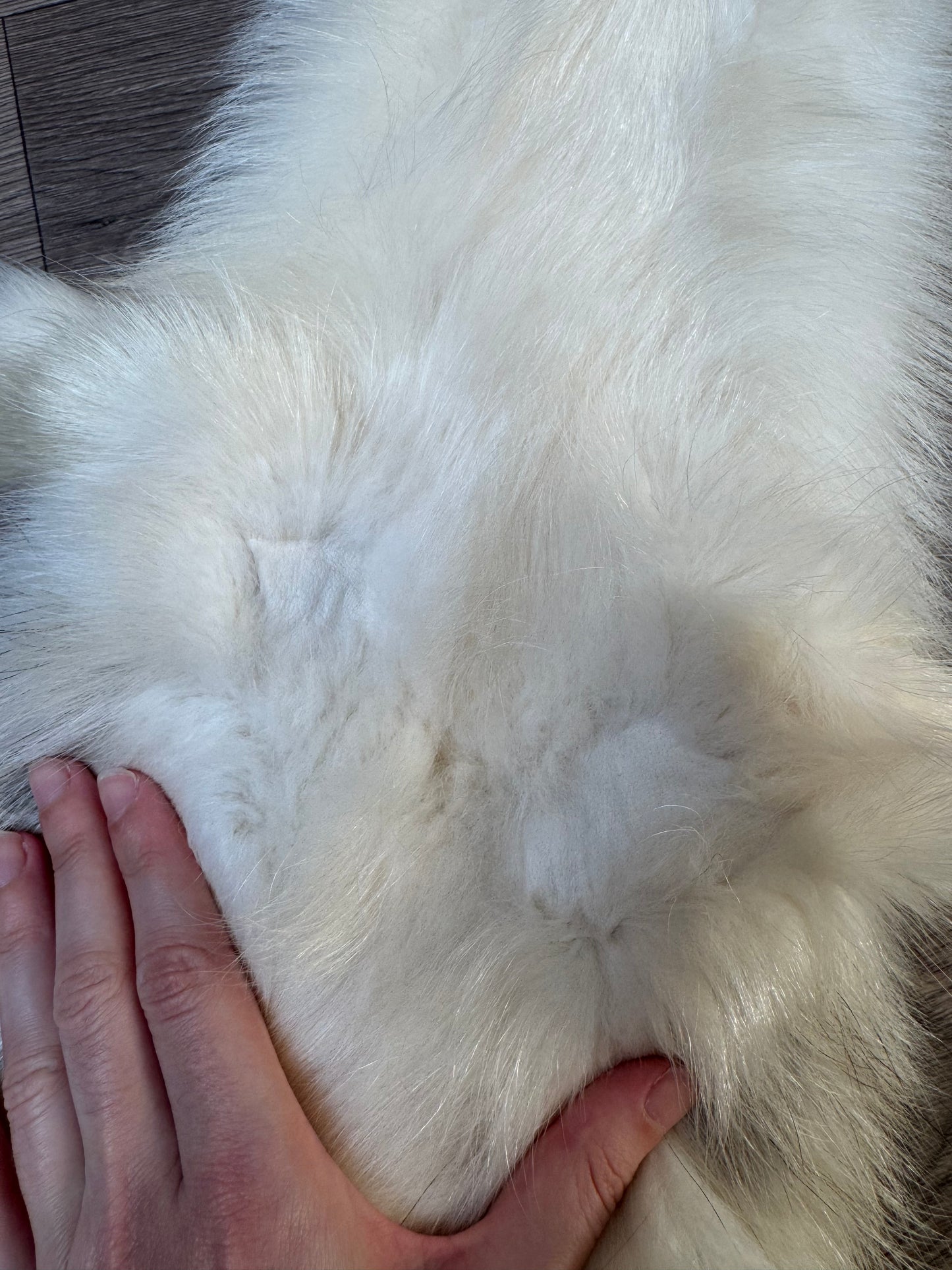 Marble tanuki pelt (1)