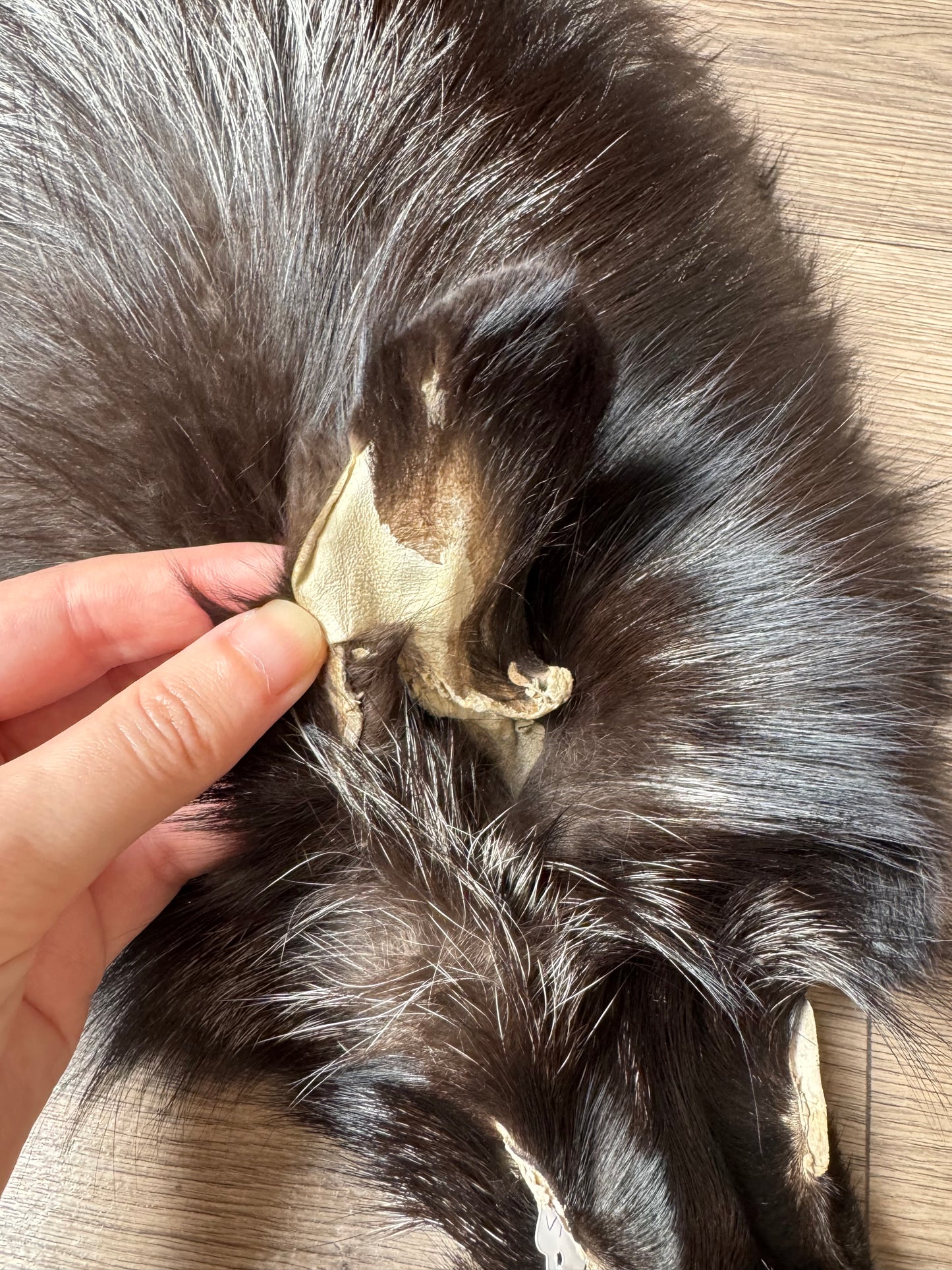Silver fox pelt (19)