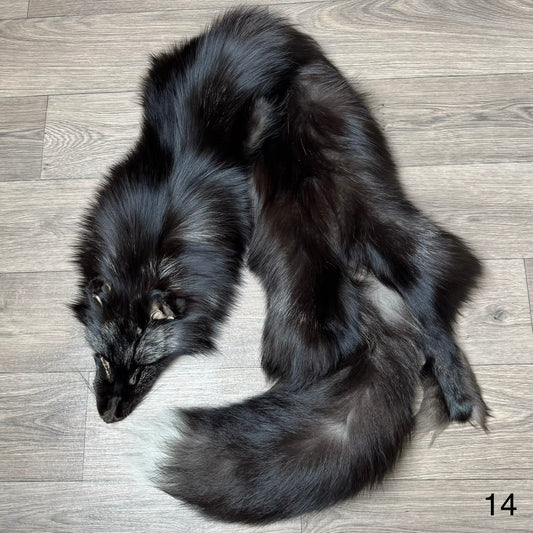 Silver fox pelt (14)
