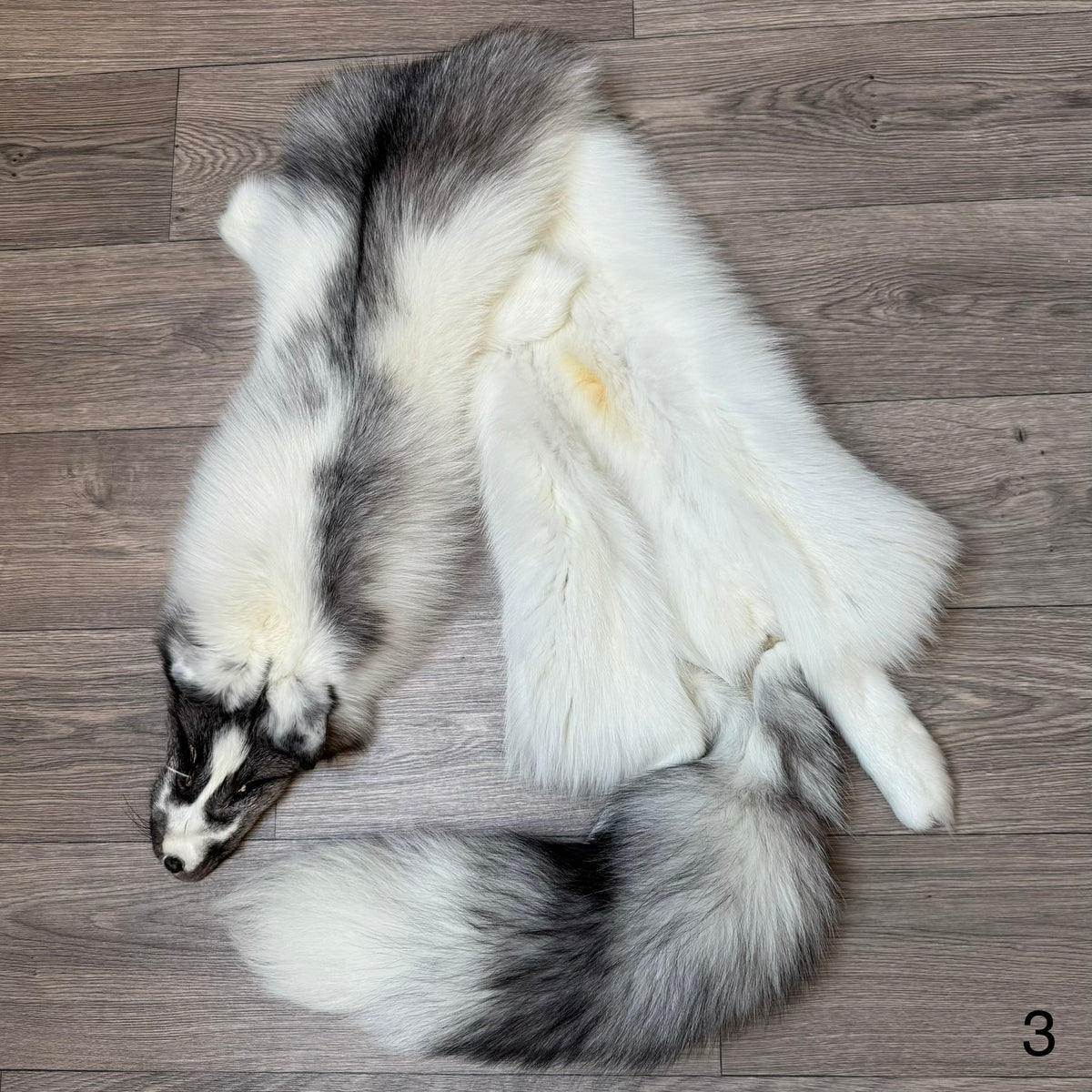 Marble Frost fox pelt (3)