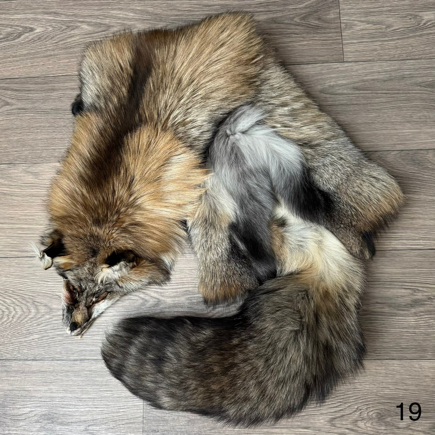 Smokey fox pelt (19)