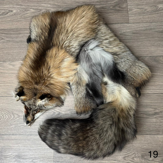 Smokey fox pelt (19)