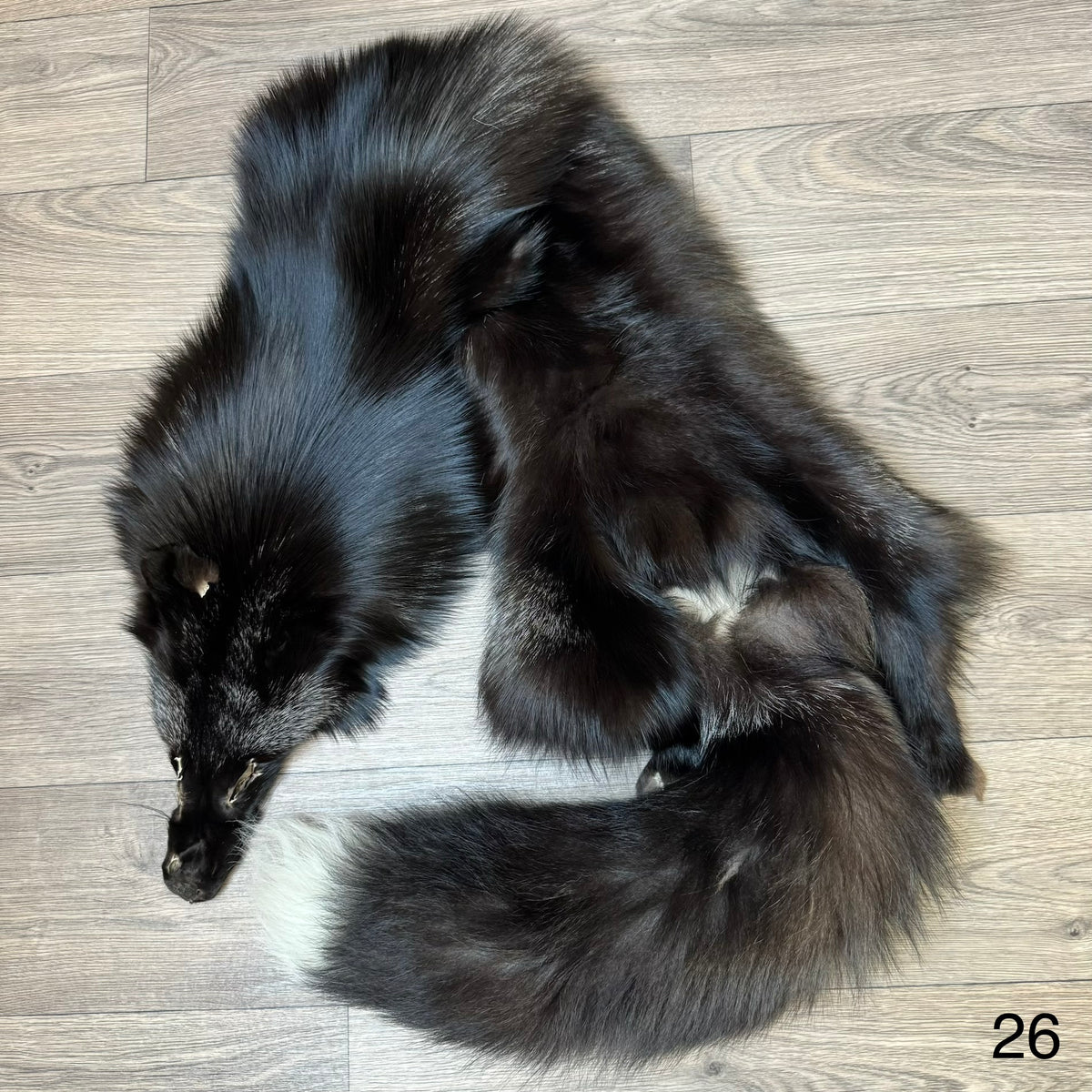 Silver fox pelt (26)