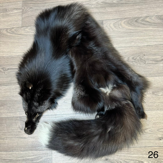 Silver fox pelt (26)