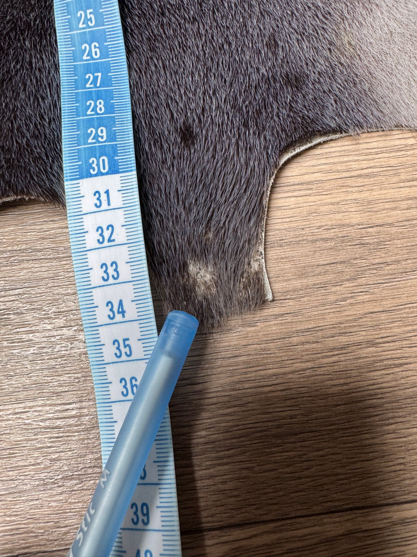 Harp seal skin (3)
