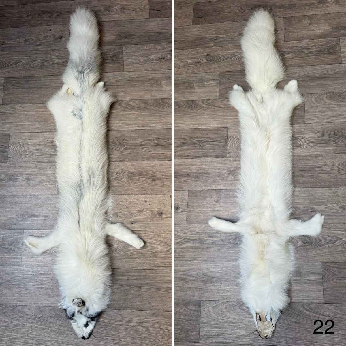Arctic Marble fox pelt (22)