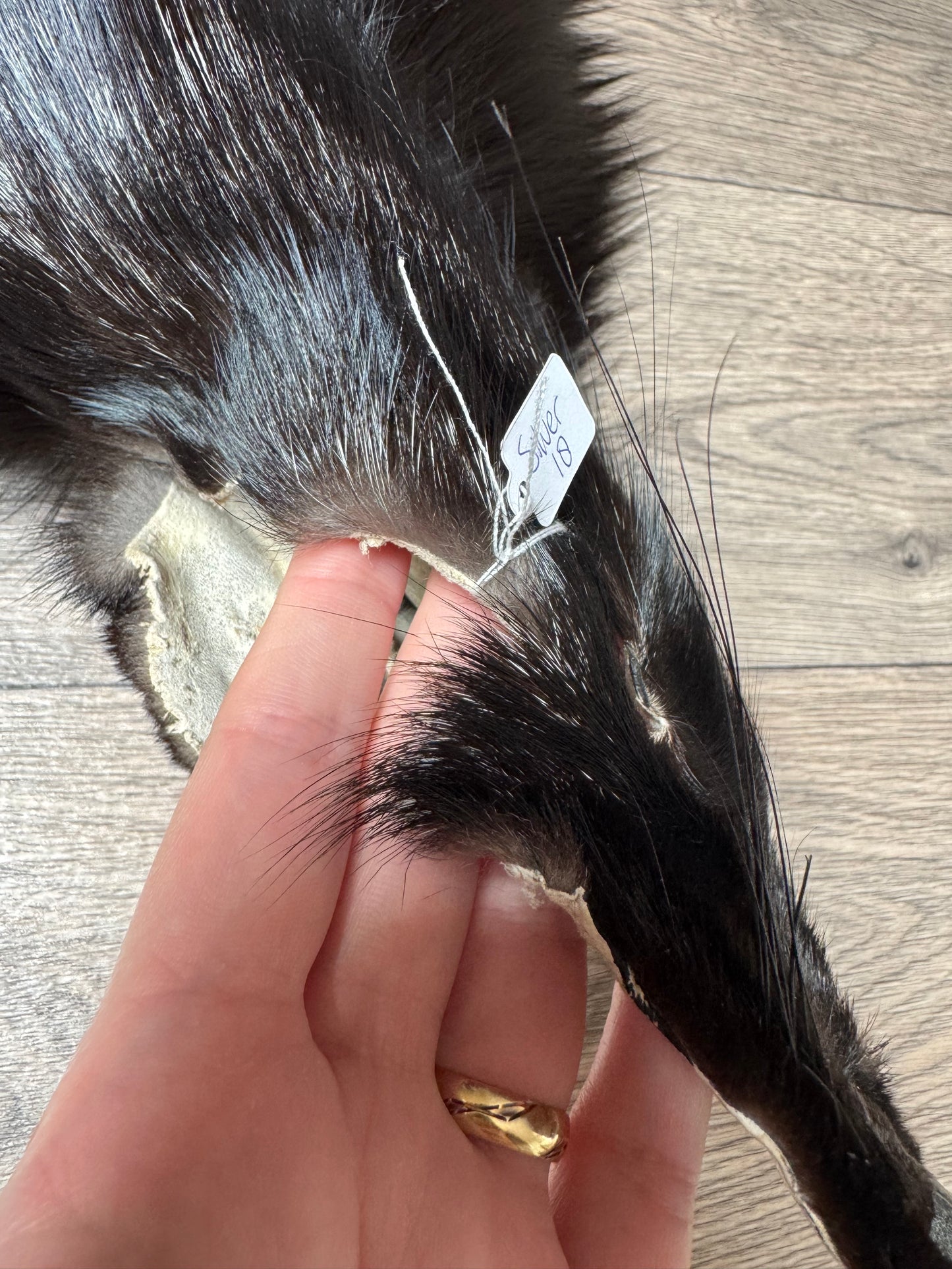 Silver fox pelt (18)