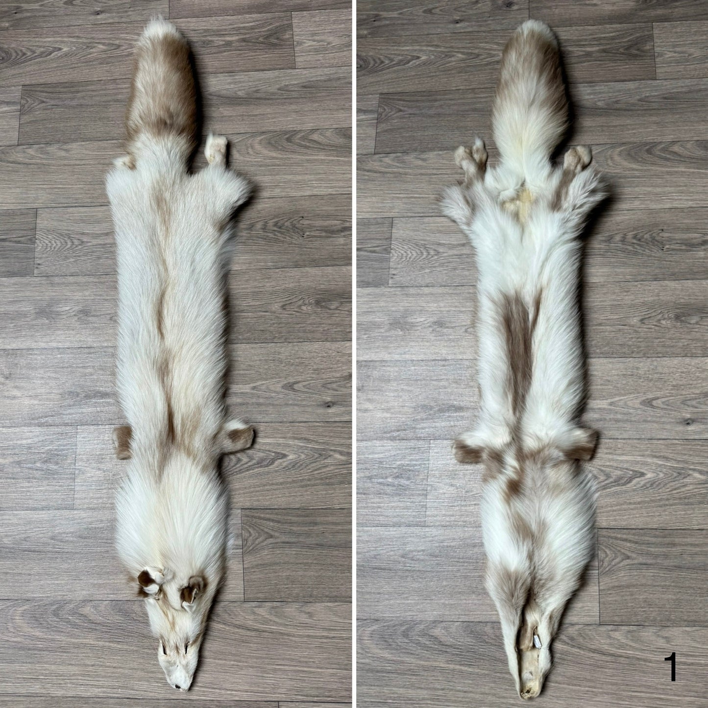 Smokey Snow Glow Whitemark fox pelt (1)