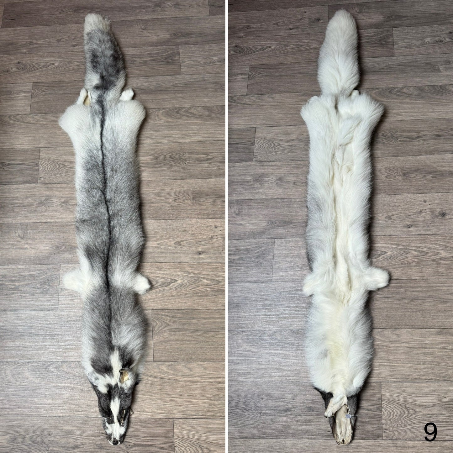 Marble Frost fox pelt (9)
