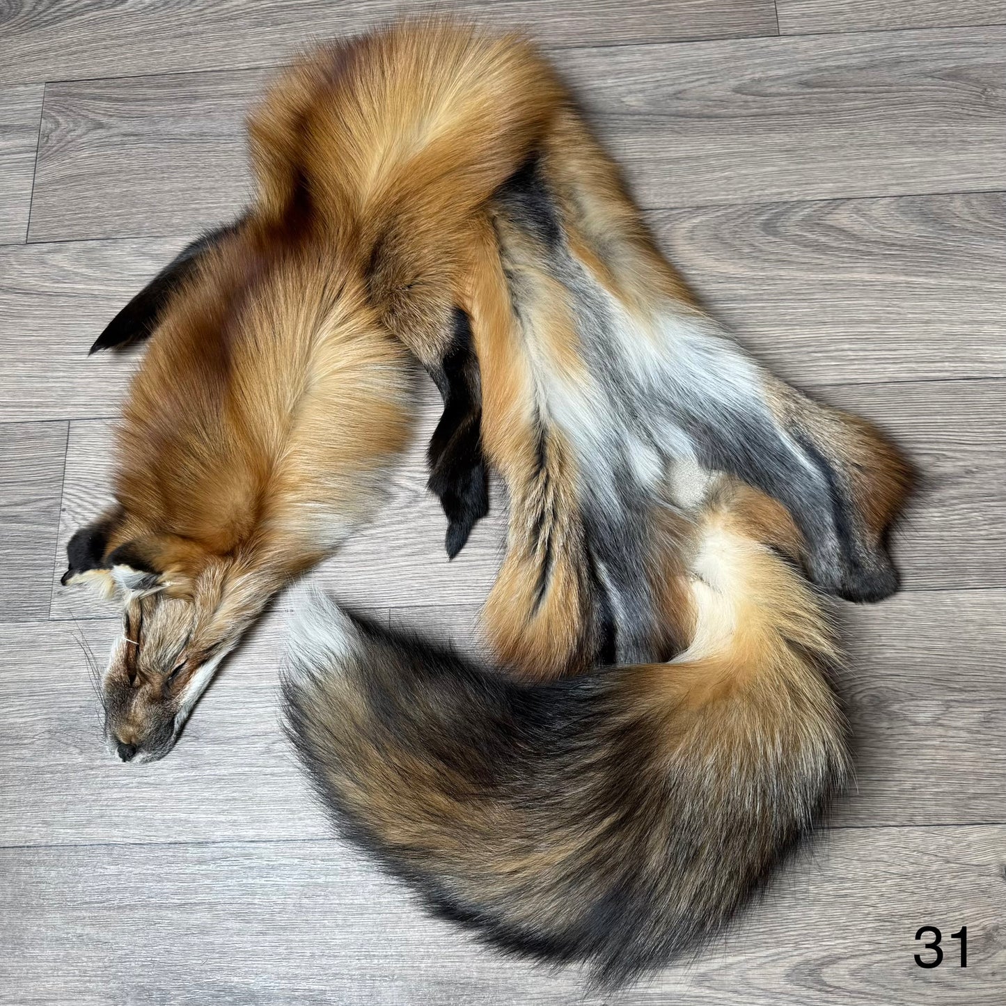 Gold fox pelt (31)