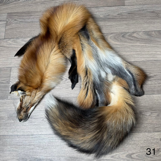 Gold fox pelt (31)