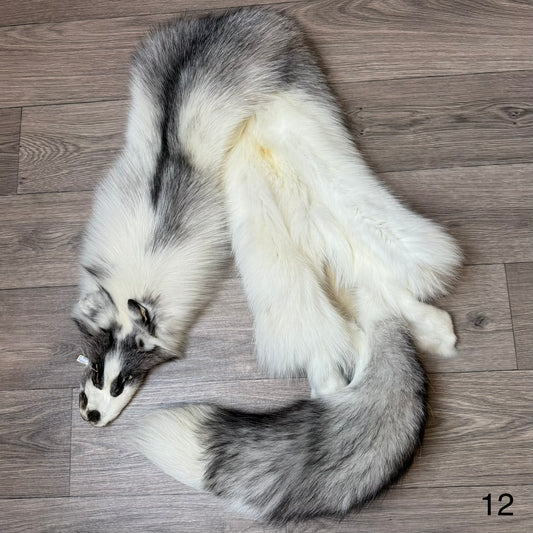Marble Frost fox pelt (12)