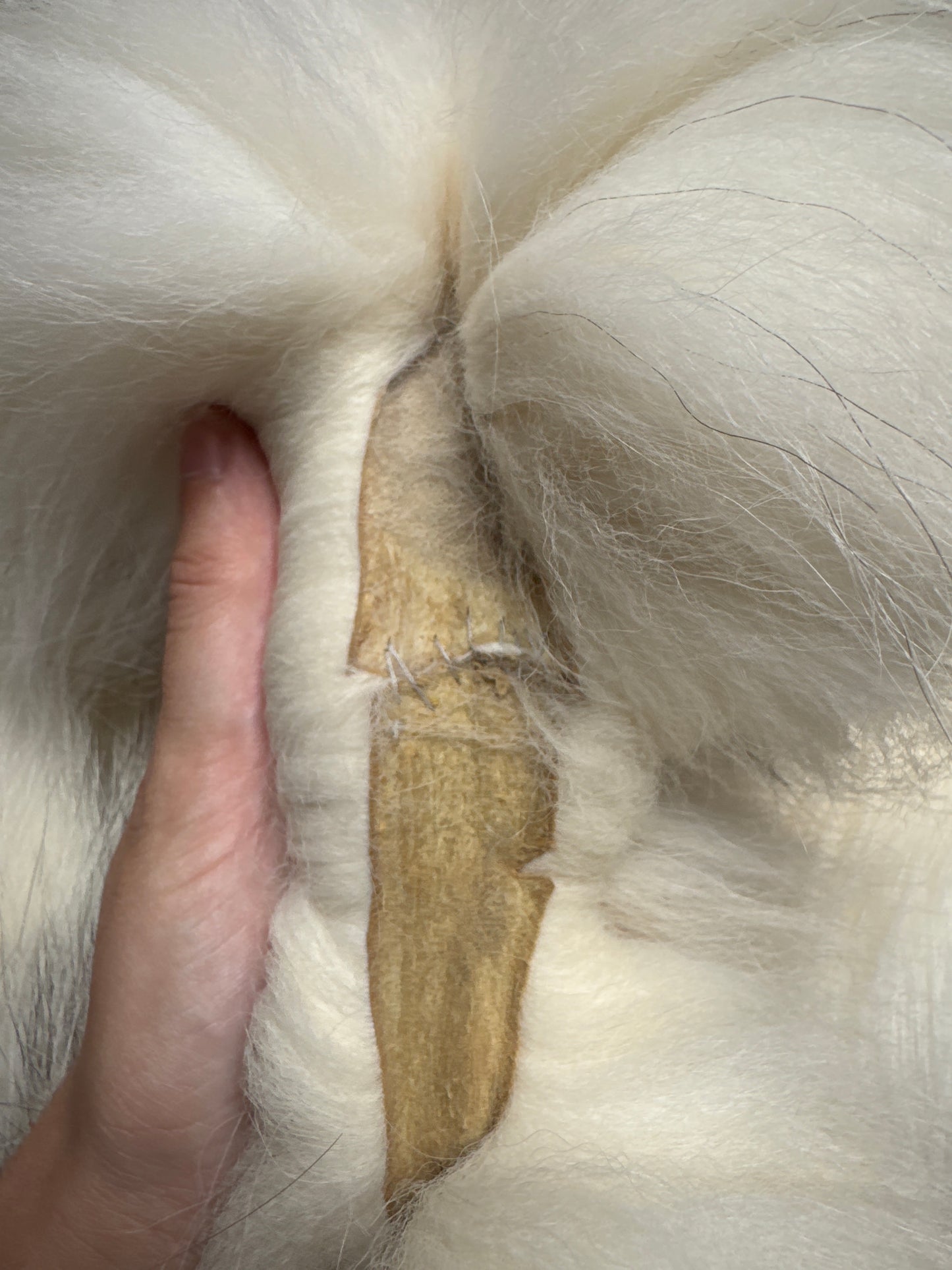 Cross Marble fox pelt (12)