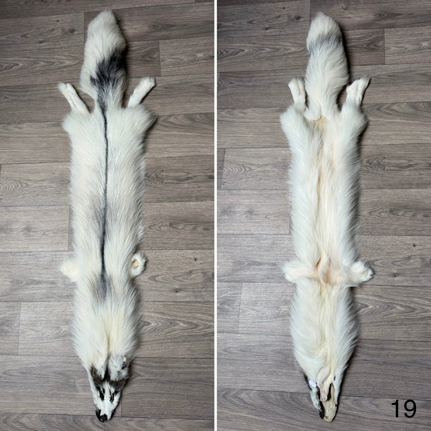 Cross Marble fox pelt (19)