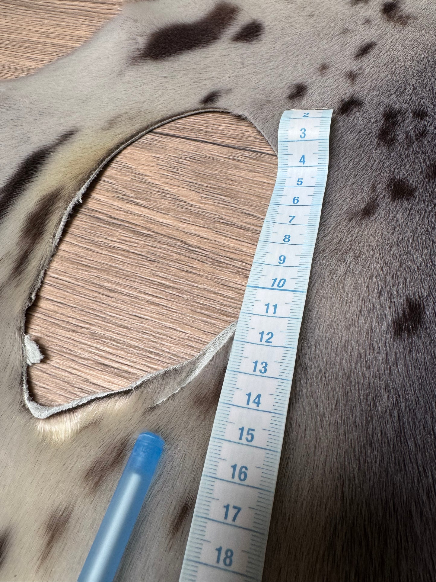 Harp seal skin (3)