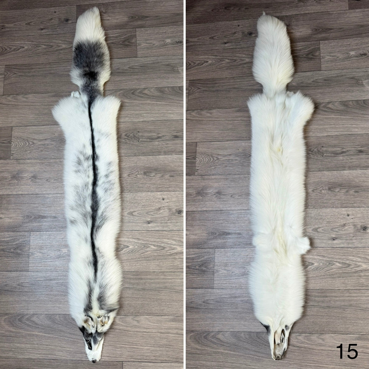 Marble Frost fox pelt (15)