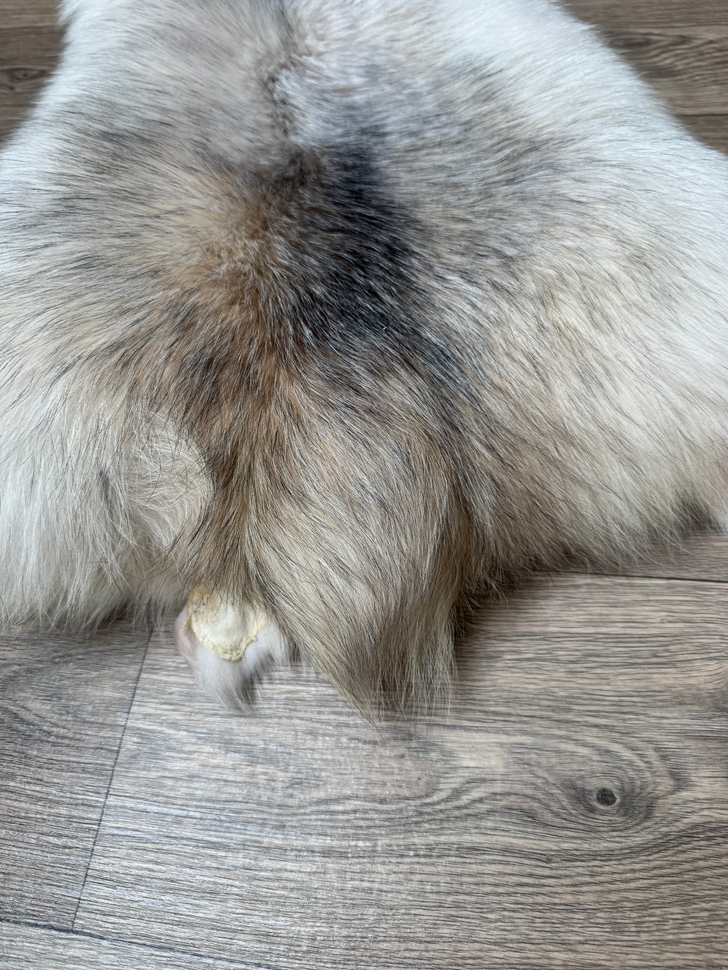 Marble tanuki pelt (12)