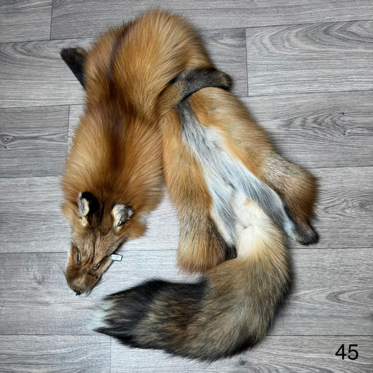 Gold fox pelt (45)