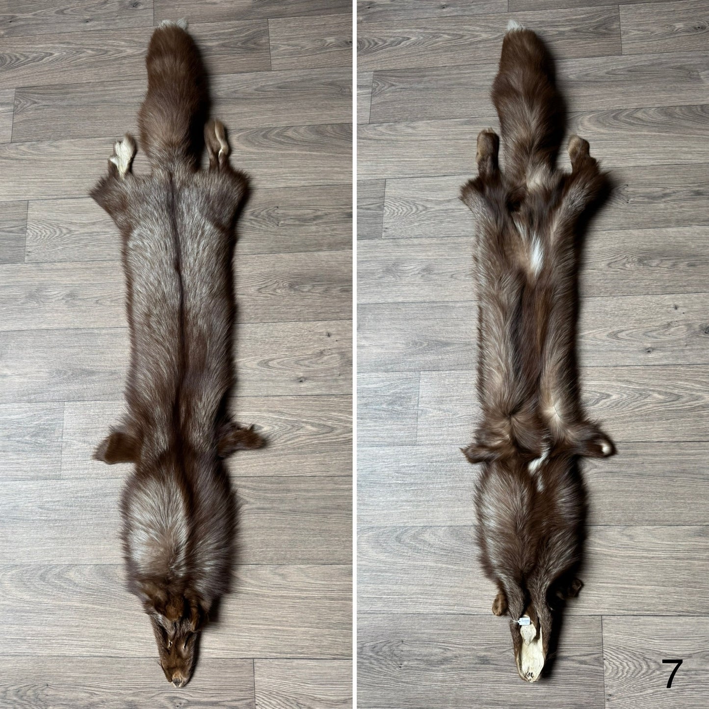 Burgundy fox pelt (7)