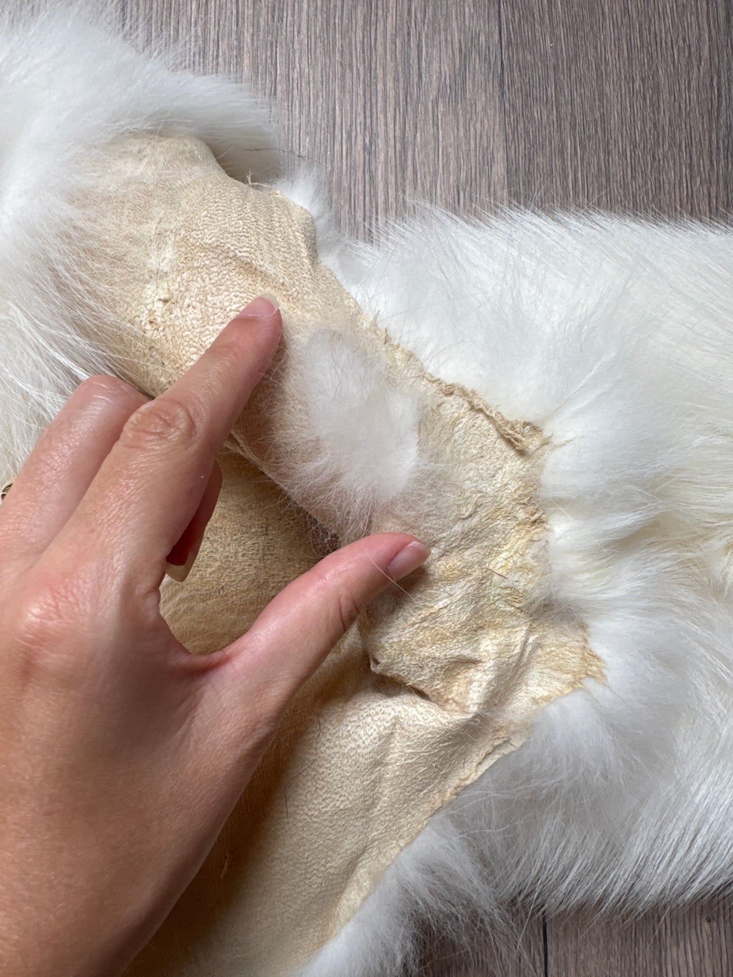 Sun Glow fox pelt (15)